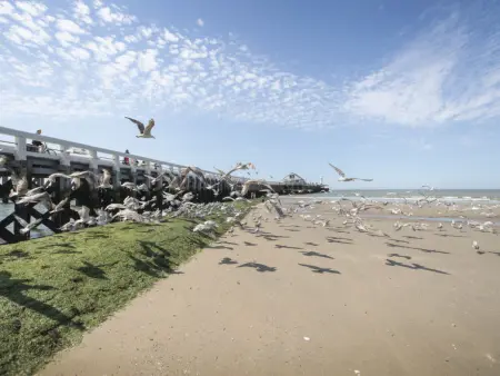 La Marée with parking & lateral seaview, Appartement 4 personnes à Blankenberge - Photo 29