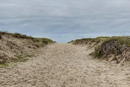 PLAZA Z/Z24, Appartement 4 personnes à Oostduinkerke - Photo 21