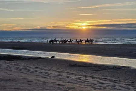 GAUQKL/GAUL4, Appartement 6 personnes à Oostduinkerke - Photo 30