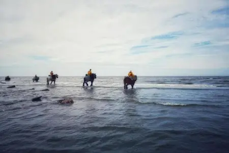 PLAZA I/1822, Appartement 4 personnes à Oostduinkerke - Photo 10