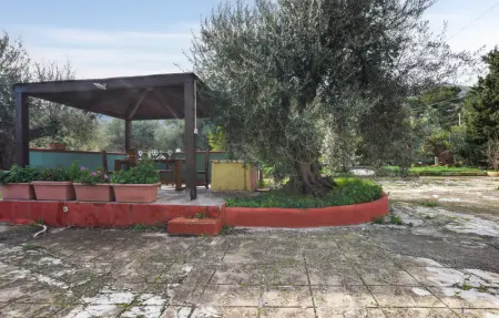 Location Maison 6 personnes à Altavilla Milicia - Photo 10