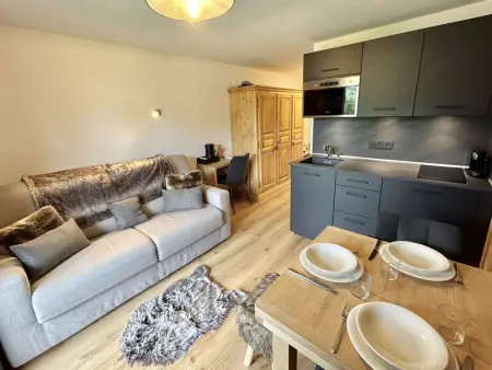 Charmant studio avec balcon exposé sud, casier à skis et parking, proche des pistes à Demi-Quartier - Photo 1