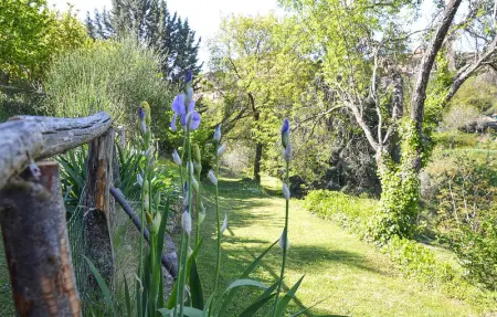 Location Appartement 5 personnes à Paciano - Photo 5