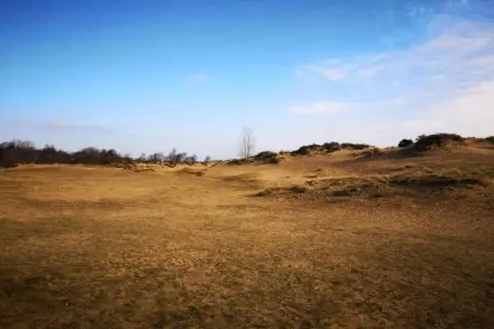 STTROP/STTRO201, Appartement 6 personnes à Oostduinkerke - Photo 19