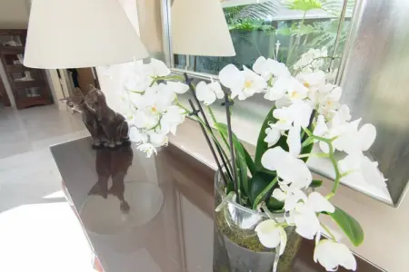 Luxury Villa Marratxí, Villa 8 personnes à Marratxí - Photo 16