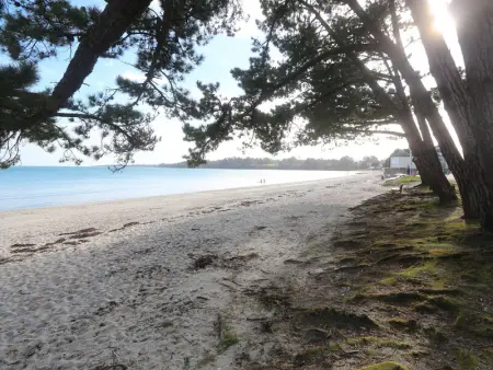 Appartement rénové à Fouesnant, 4 pers. à 50m de la plage de Cap Coz, parking privé - Photo 12