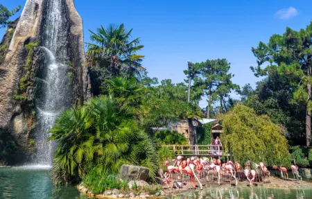 Location Maison 6 personnes à Saint Savinien - Photo 31