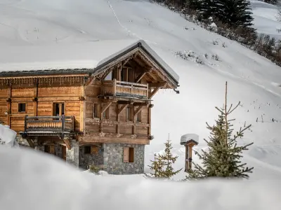 Chalet à Plagne 1800, Chalet spacieux avec jacuzzi et vue Mont Blanc, 5 chambres, WiFi - N°989482