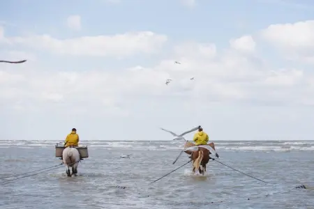 Oostdijk 0501, Appartement 6 personnes à Sint Idesbald - Photo 38