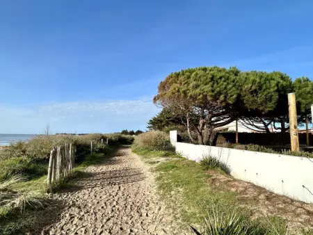 Maison confortable face à la mer, 7 couchages, terrasse, jardin, wifi, parking, animaux acceptés - Photo 1