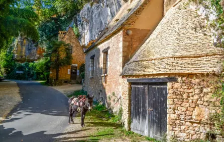 Location Maison 6 personnes à Montignac - Photo 27