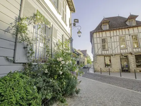 Charmante maisonnette à Troyes avec terrasse, animaux acceptés - Photo 21