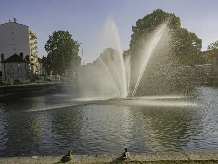 Charmante maisonnette à Troyes avec terrasse, animaux acceptés - Photo 22