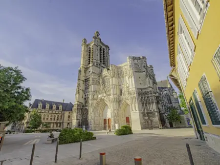 Charmante maisonnette à Troyes avec terrasse, animaux acceptés - Photo 23