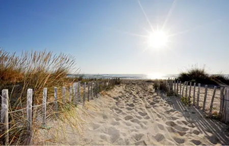 Location Appartement 4 personnes à Saleilles - Photo 6