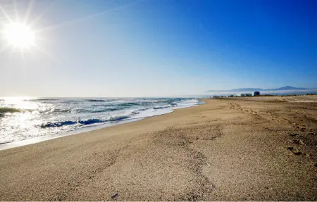 Location Appartement 4 personnes à Saleilles - Photo 14