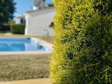 Location Villa à Marbella, Picasso Townhouse - N°990286