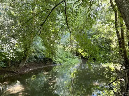 Maison de Charme Moderne avec Jardin, Terrasse et Fibre - Saint-Yrieix-sur-Charente - Photo 27