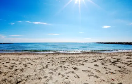 Location Maison 12 personnes à Villelongue de la S - Photo 15