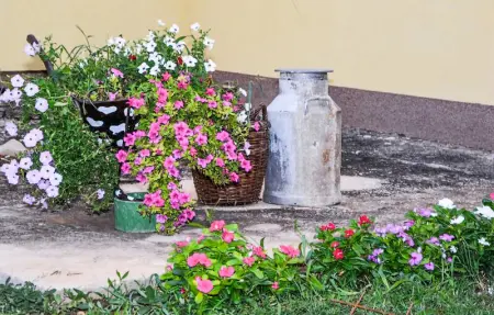 Location Appartement 8 personnes à Sveti Filip i Jakov - Photo 8