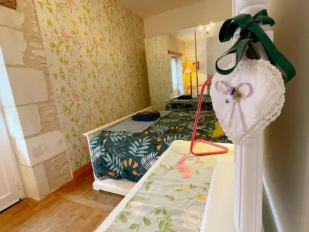 Gîte tout inclus avec jardin privatif, proche centre Richelieu et châteaux de la Loire - Photo 22