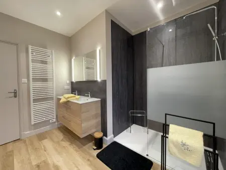 Gîte charmant avec terrasse, animaux admis, Gite 5 personnes à Ferrières sur Sichon - Photo 3