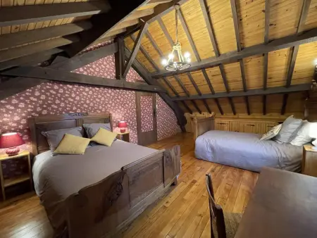 Confort et Charme à Ferrières: Gîte 5 chambres, Terrasse, Animaux bienvenus - Photo 17