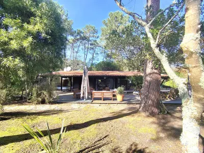 Villa à Lège Cap Ferret, Villa lumineuse avec grand jardin, au calme, proche plages et commerces au cœur de Petit-Piquey - L991139