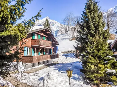 Chalet Bienli Oben, Chalet 6 personnes à Grindelwald - Photo 27