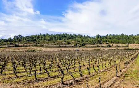 Location Maison 4 personnes à Saint Laurent de la Cabrerisse - Photo 25