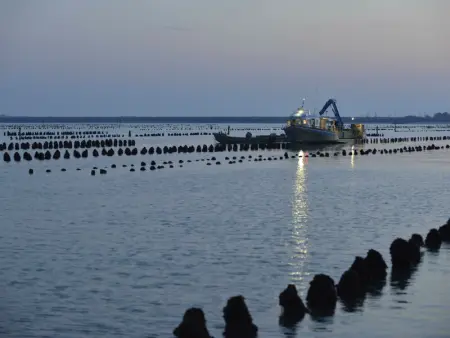 Maison récente à 450m des plages et 350m du centre ville à La Faute-sur-Mer - Photo 11
