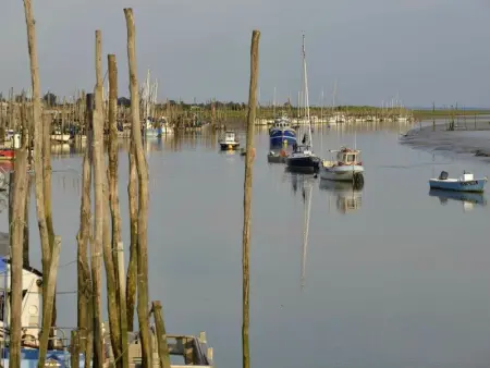 **Maison récente, proche plage, commerces et plan d'eau - L'Aiguillon-sur-Mer** - Photo 27