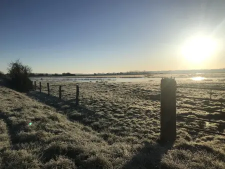 Studio charmant dans les Marais du Cotentin, Appartement 2 personnes à Carentan les Marais - Photo 14
