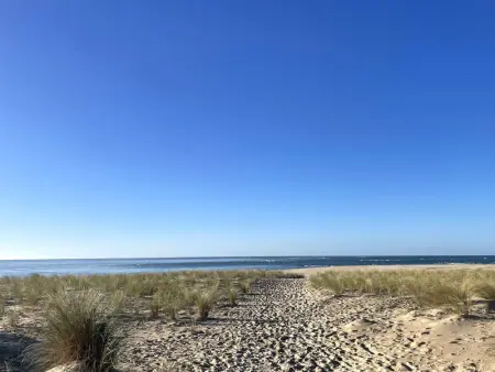 Villa spacieuse avec jardin pour 16 personnes, Villa 16 personnes à Lège Cap Ferret - Photo 4
