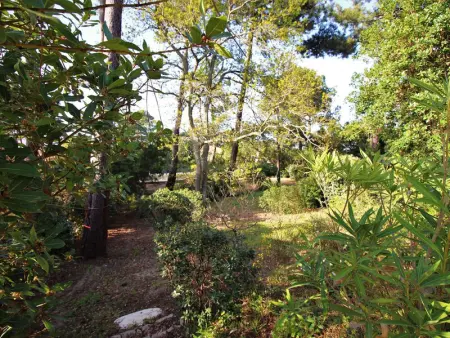 Villa spacieuse avec jardin pour 16 personnes, Villa 16 personnes à Lège Cap Ferret - Photo 17