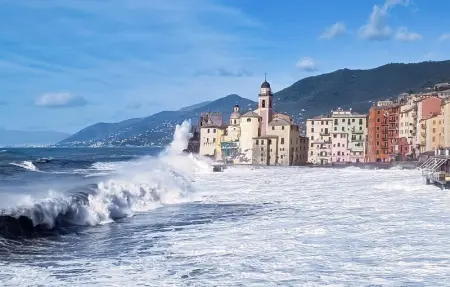 5 finestre sul golfo, Appartement 5 personnes à Camogli - Photo 6