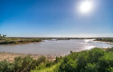 Location Maison 6 personnes à Chiclana de la Fronter - Photo 23
