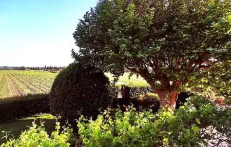 Le Mas De La Vigne, Maison 6 personnes à Violes - Photo 14