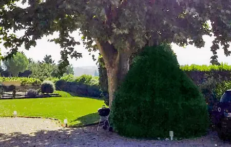Le Mas De La Vigne, Maison 6 personnes à Violes - Photo 15