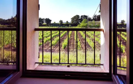 Le Mas De La Vigne, Maison 6 personnes à Violes - Photo 17