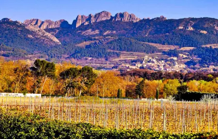 Le Mas De La Vigne, Maison 6 personnes à Violes - Photo 38