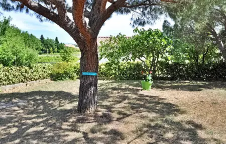 La Villa Des Pins, Maison 6 personnes à Rochefort Du Gard - Photo 11