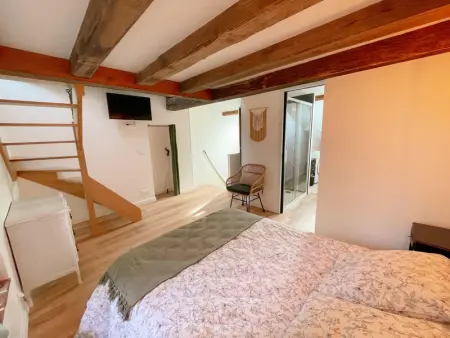 Cosy Gîte à Azay-le-Rideau avec Wifi, Clim, tout inclus, idéal pour 2 adultes et 2 enfants, proche châteaux - Photo 19