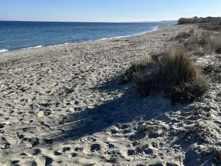 Appartement rénové 2 pièces, jardin privé, plage et garage, calme, climatisation - Photo 16