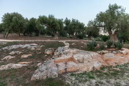 Luxury Trullo Termetrio in Cisternino, Maison 6 personnes à Cisternino - Photo 25