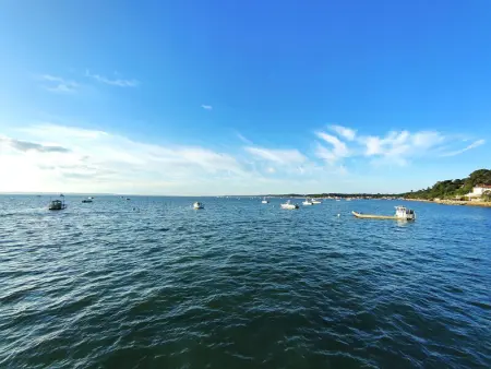 Villa 12 pers avec piscine chauffée et vue exceptionnelle, première ligne Bassin d'Arcachon - Photo 2