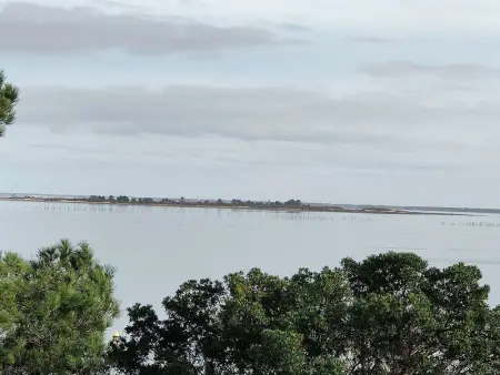 Villa 12 pers avec piscine chauffée et vue exceptionnelle, première ligne Bassin d'Arcachon - Photo 18
