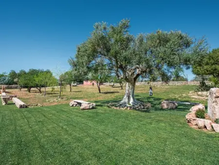 Quinta Valente, Villa 12 personnes à Silves - Photo 42