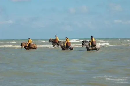 Rempaulchrist - 0001, Appartement 6 personnes à Sint Idesbald - Photo 31
