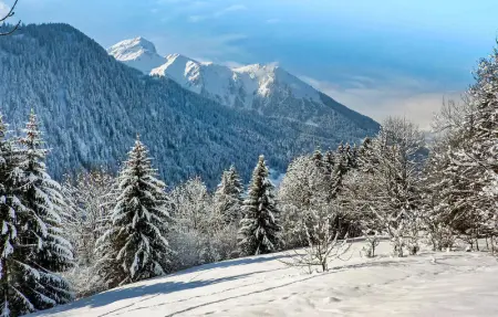 Les Vuargnes, Maison 12 personnes à Chatel - Photo 3
